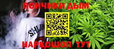 МДПВ Кингисепп
