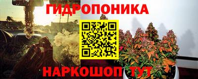 a pvp Кимры