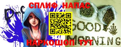 МДПВ Кингисепп