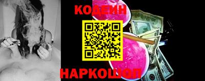 МДПВ Кингисепп