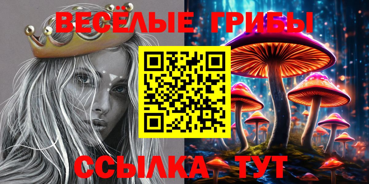 Псилоцибиновые грибы прущие грибы Куйбышев